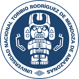 Universidad Nacional Toribio Rodríguez de Mendoza